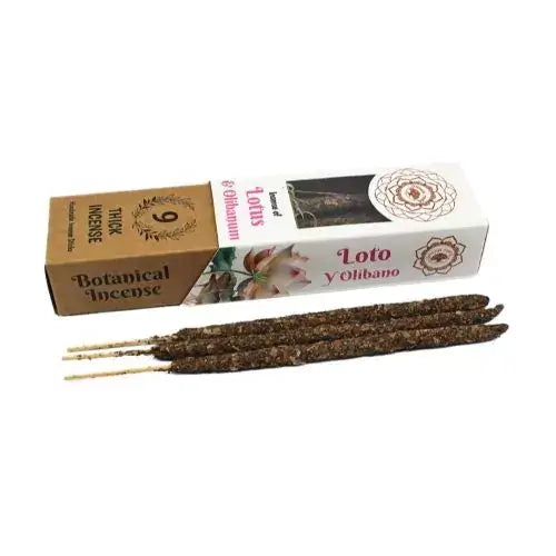 Green Tree Botanische Räucherstäbchen grüner Baumlotus & Olibanum