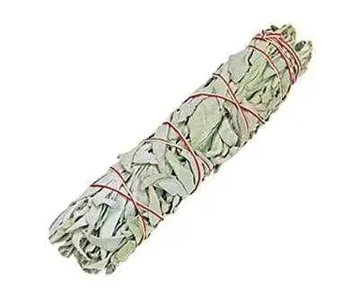 Weißer Salbei Bündel, 15cm